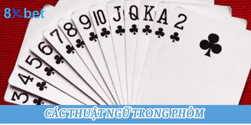 Cách chơi phỏm cực chi tiết dành cho người mới bắt đầu Một số thuật ngữ trong Phỏm thường dùng